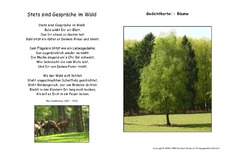 Stets sind Gespräche im Wald-Dauthendey.pdf